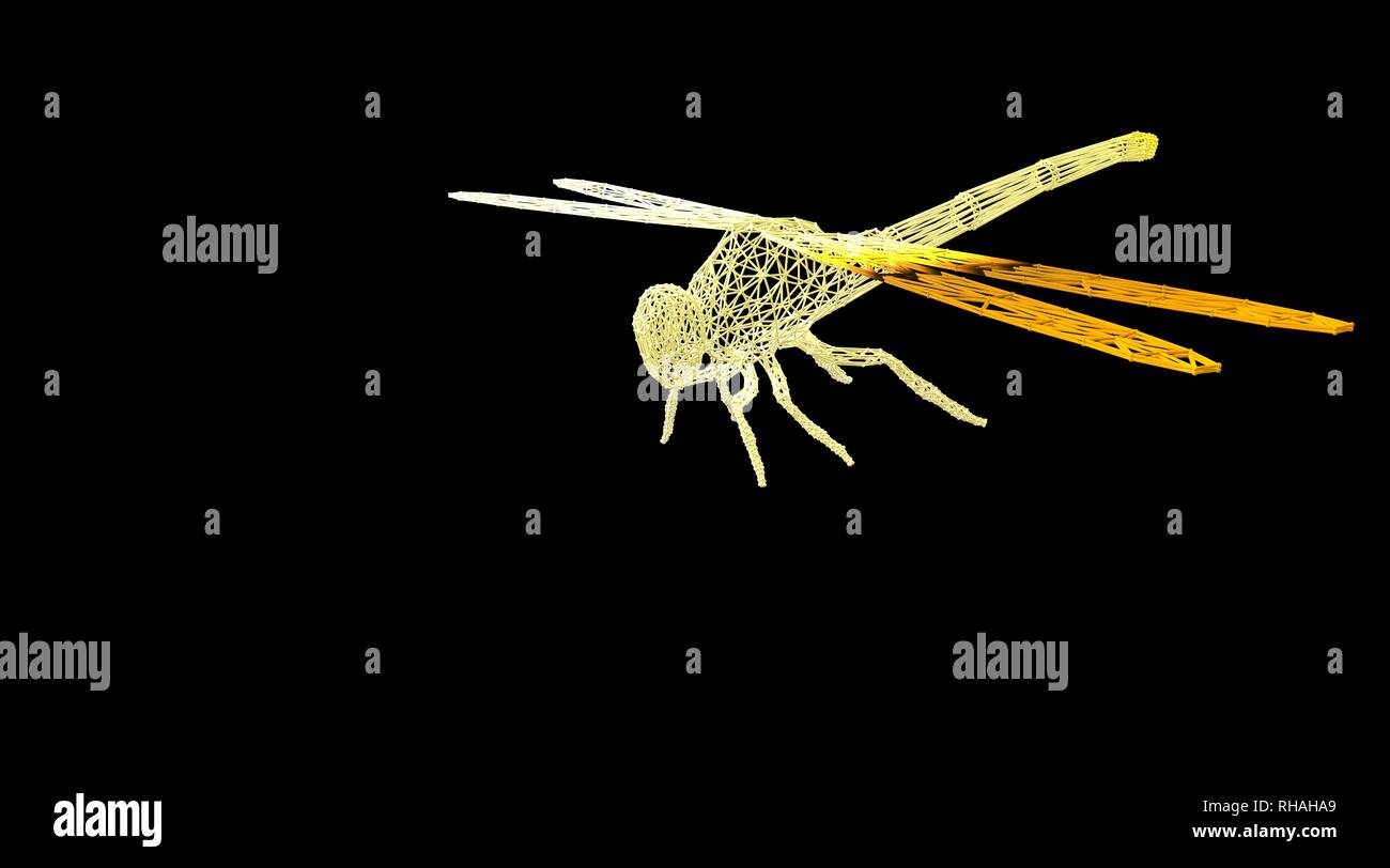 3d rendering of an animal wireframe isolated on a black background ...