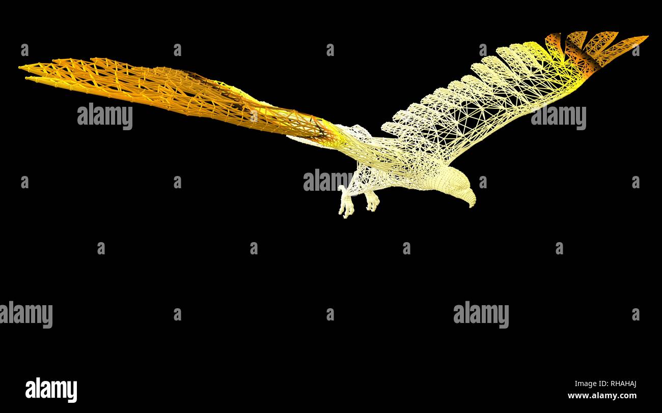 3d rendering of an animal wireframe isolated on a black background ...
