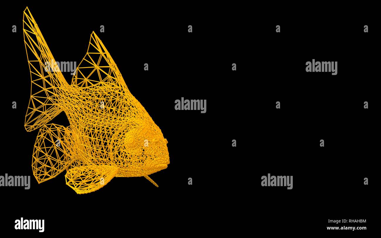 3d rendering of an animal wireframe isolated on a black background ...
