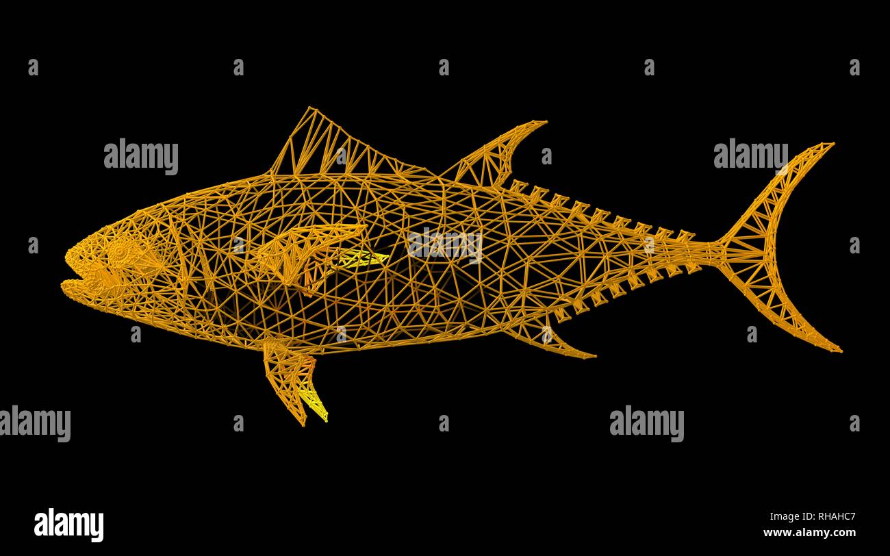3d rendering of an animal wireframe isolated on a black background ...