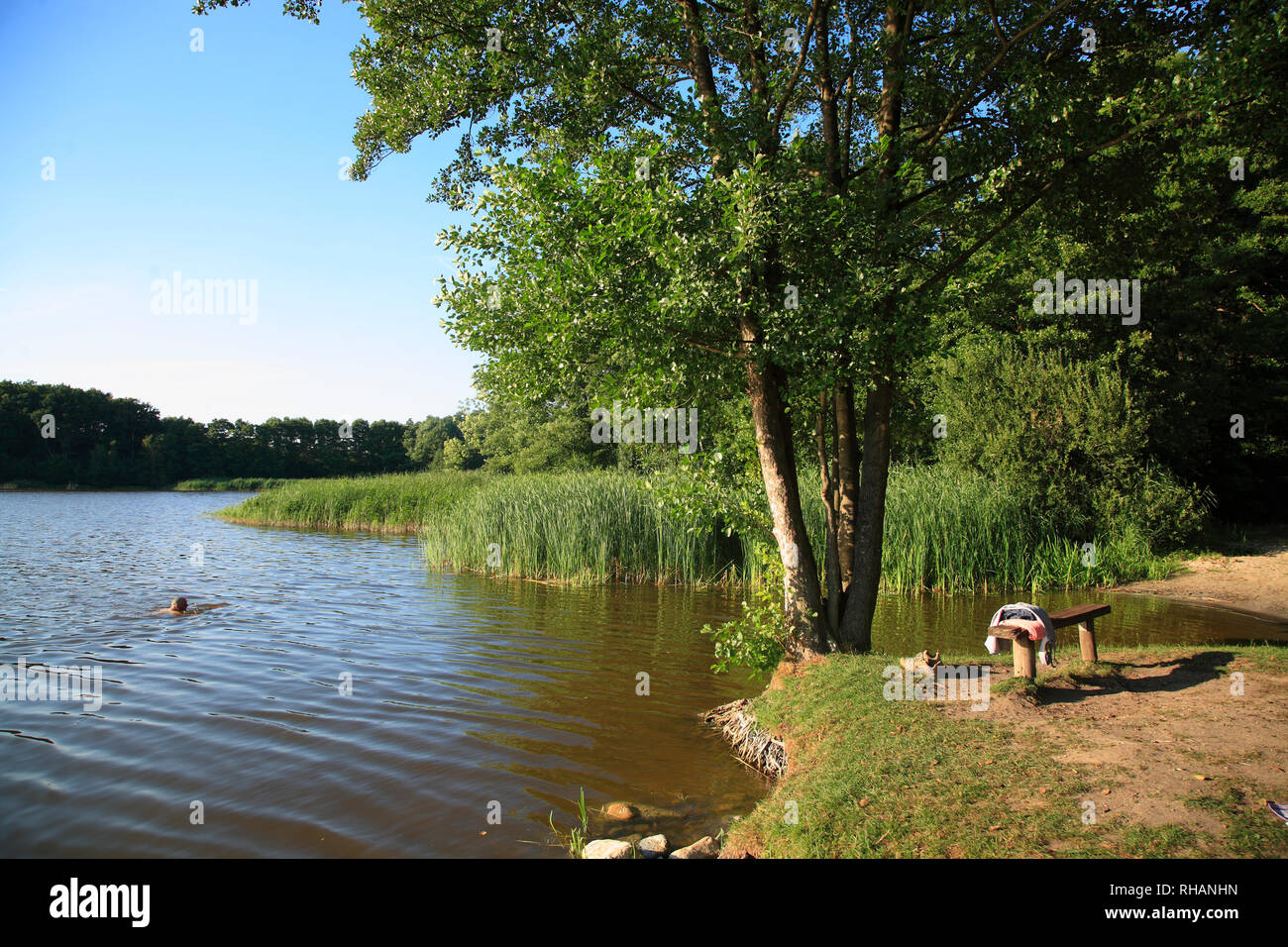 bathing place at Neuendorfer lake, lake Schaalsee-Region, Mecklenburg Western Pomerania, Germany, Europe Stock Photo