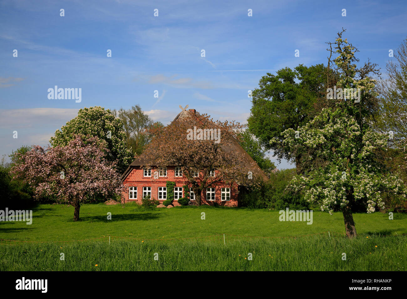 frame house in Vockvey / Elbe,  Amt Neuhaus,   Lower Saxony, Germany, Europe Stock Photo