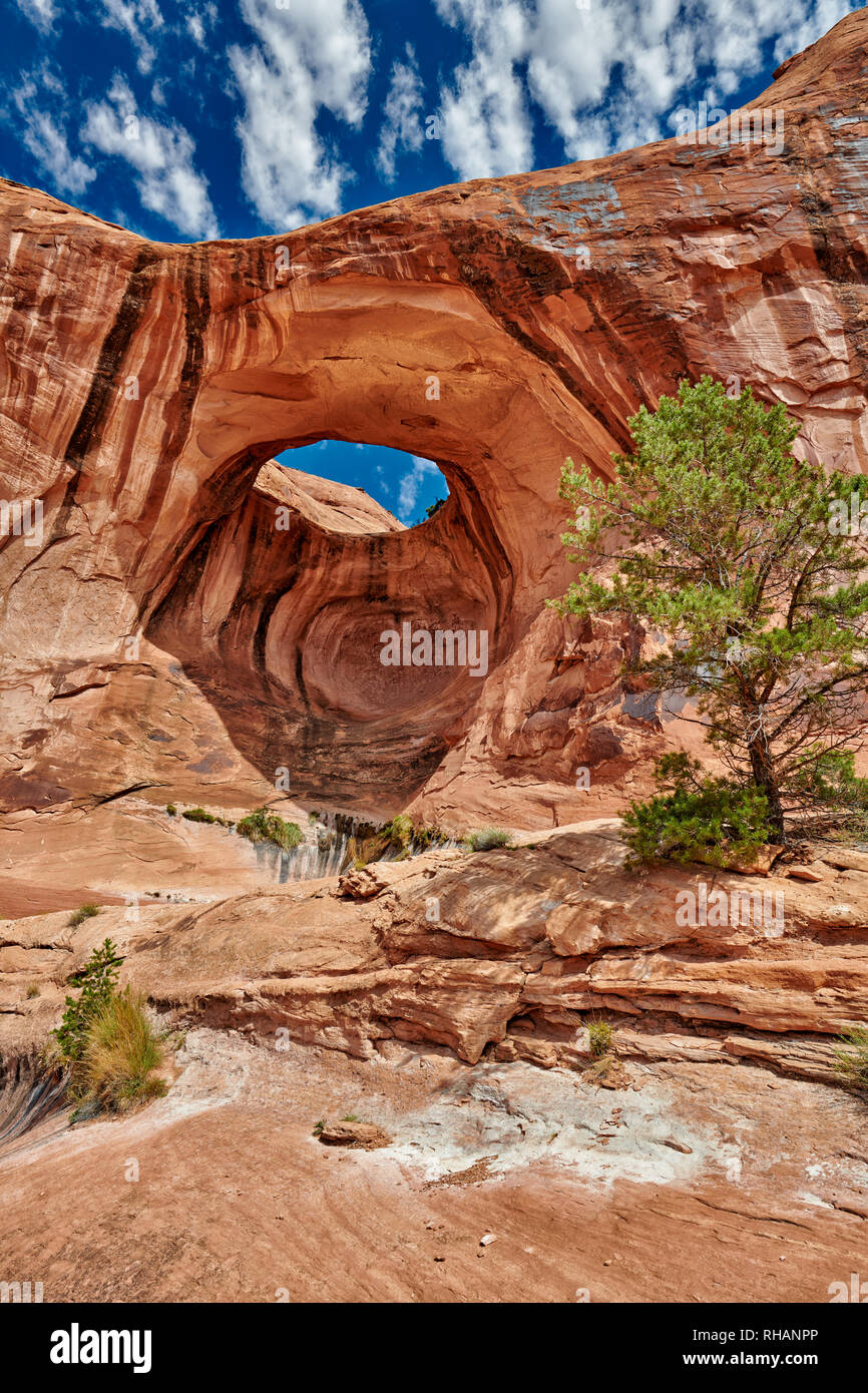 Bowtie Arch, Moab, Utah, USA, North America Stock Photo