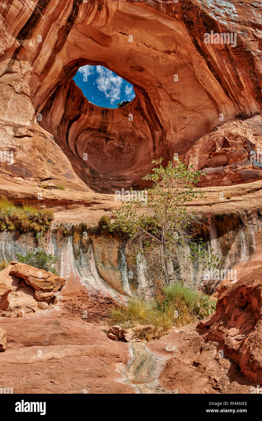 Bowtie Arch, Moab, Utah, USA, North America Stock Photo