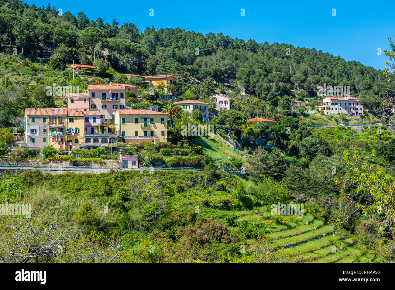 Idyllic view in Elba Island, Tuscany, Italy. Stock Photo