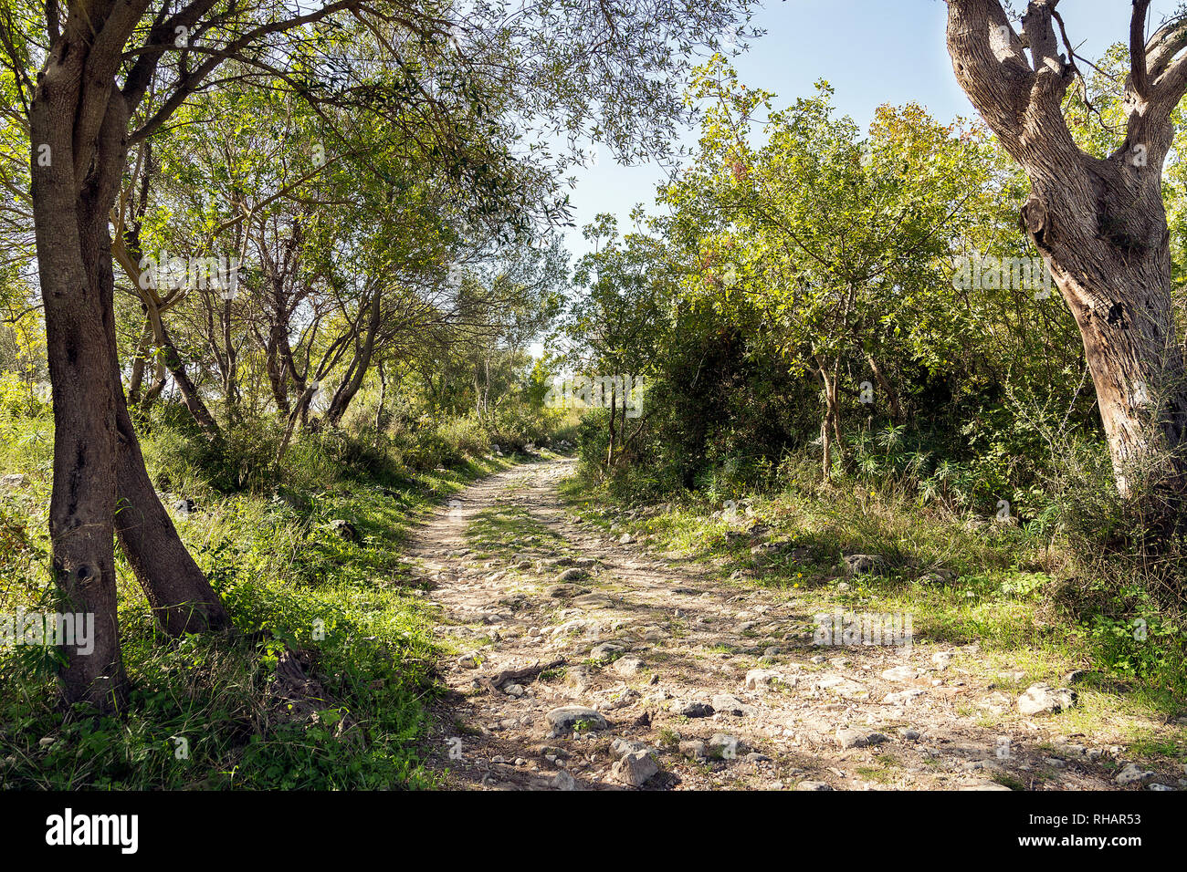 Natural Landscapes of Cava Carosello in Noto - Sicily - Italy Stock Photo