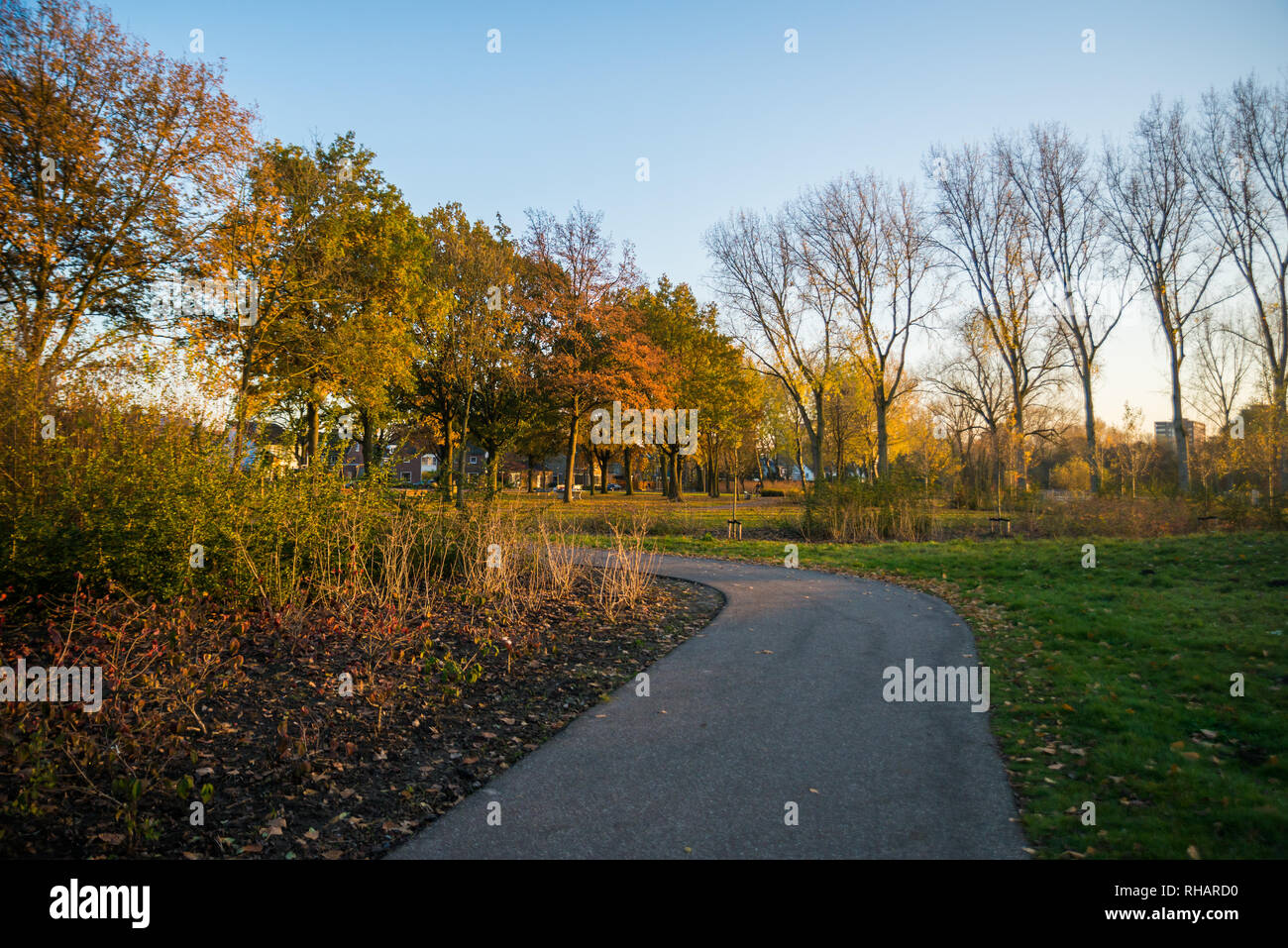 Beautiful autumn landscape in a park in Eindhoven city, Holland Stock Photo