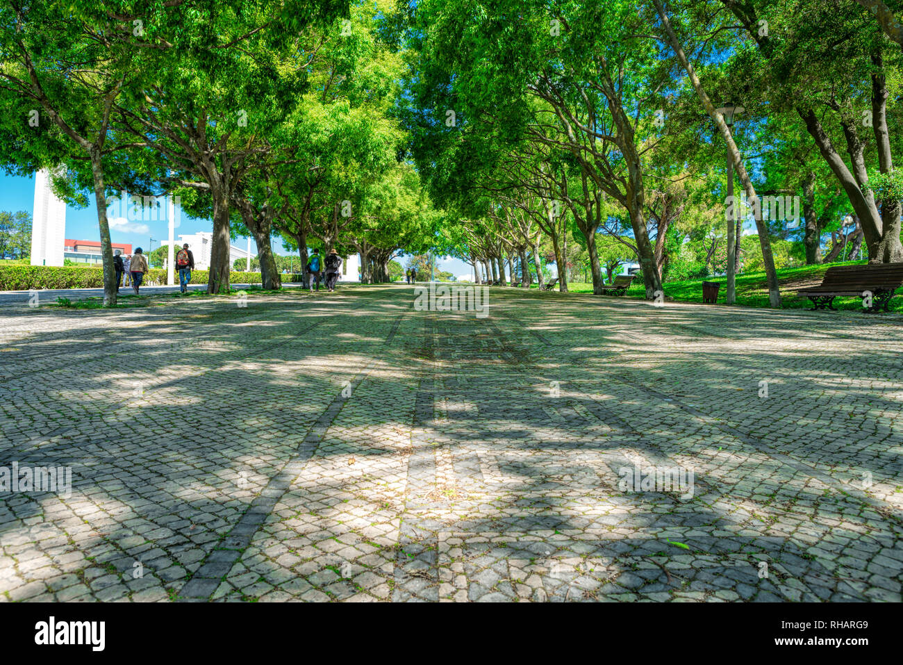Central park walking paths hi-res stock photography and images - Alamy