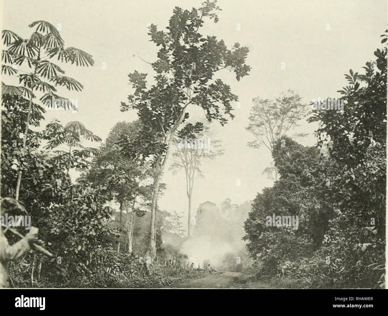 Duke adolf friedrich mecklenburg schwerin hires stock photography and