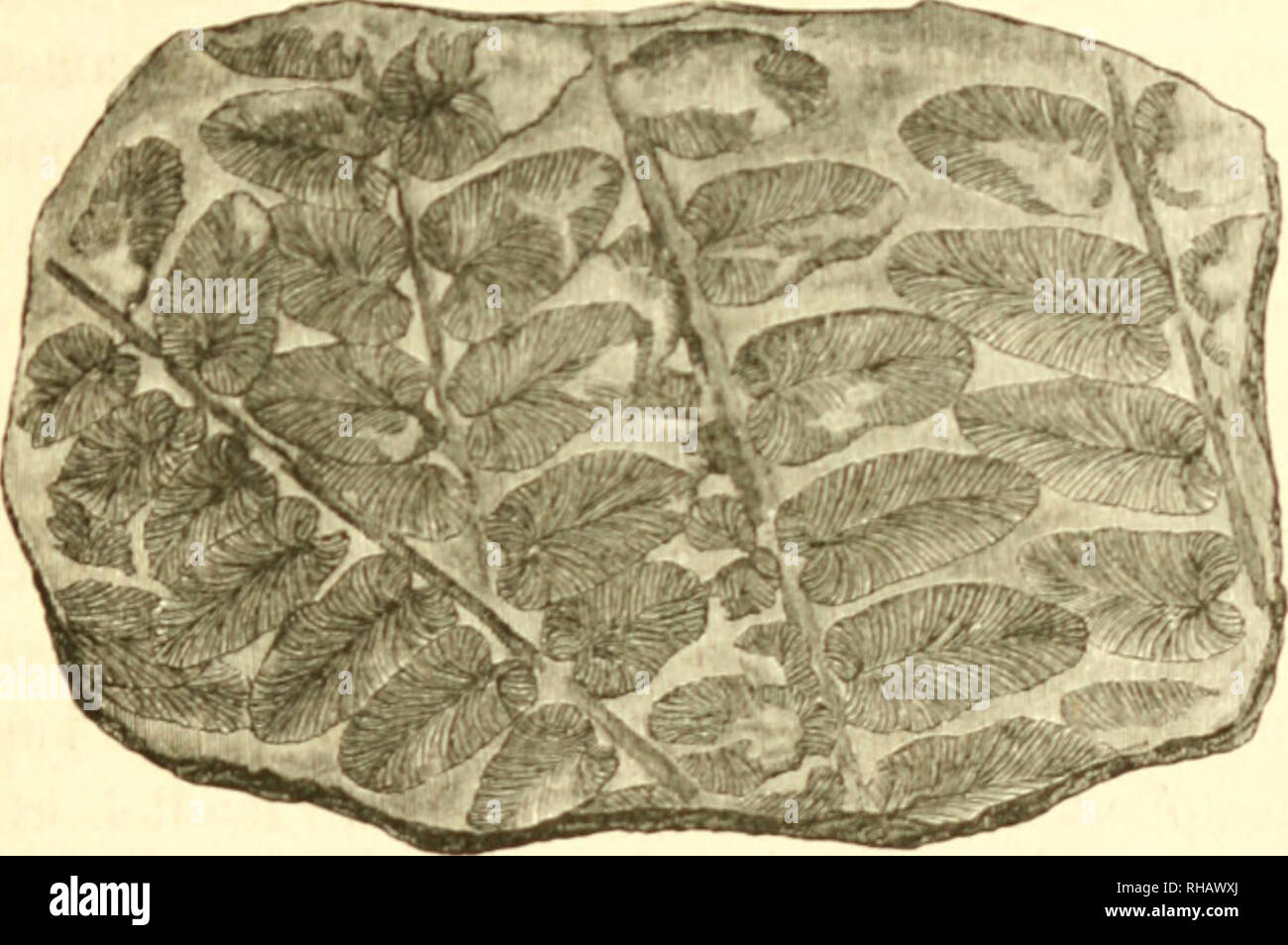 Lieux secs hi-res stock photography and images - Alamy