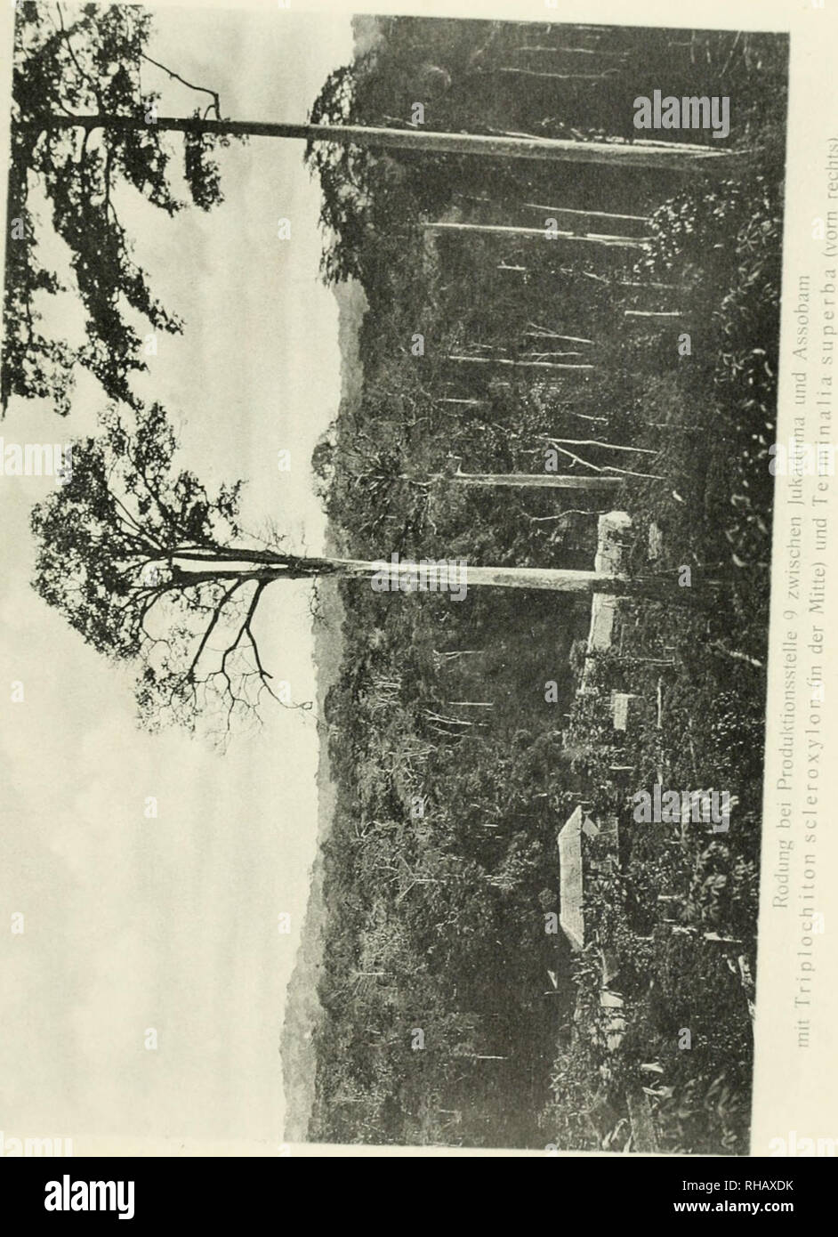 Duke adolf friedrich mecklenburg schwerin hires stock photography and