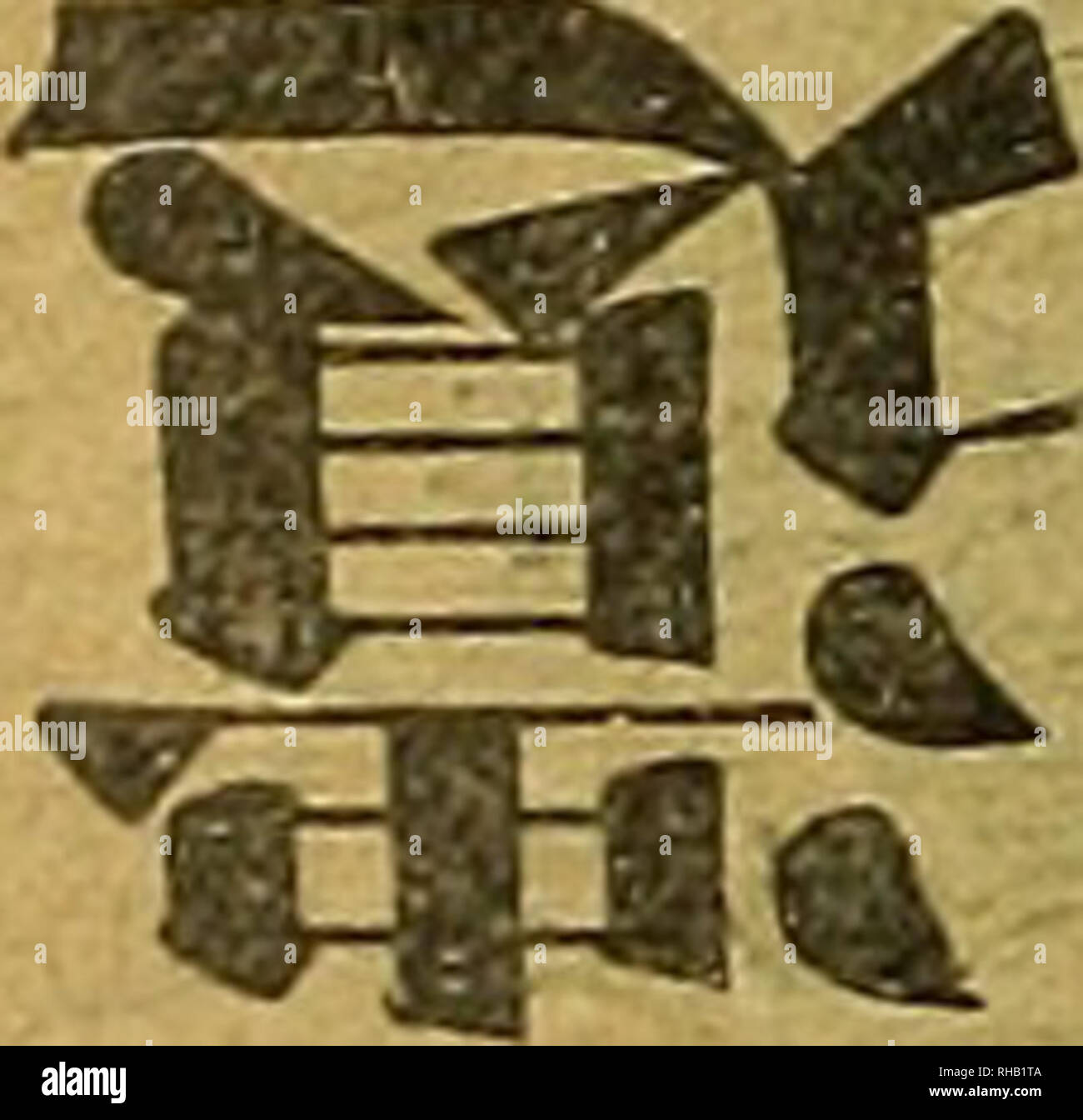 E1w High Resolution Stock Photography And Images Alamy