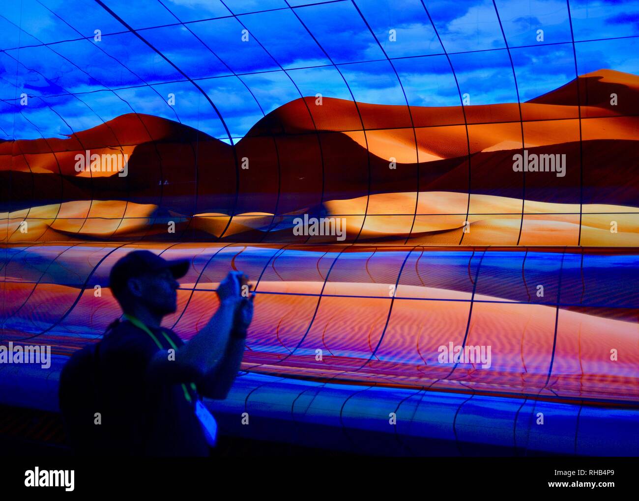 Wall and ceiling display, "massive curve of nature" 260 55inch