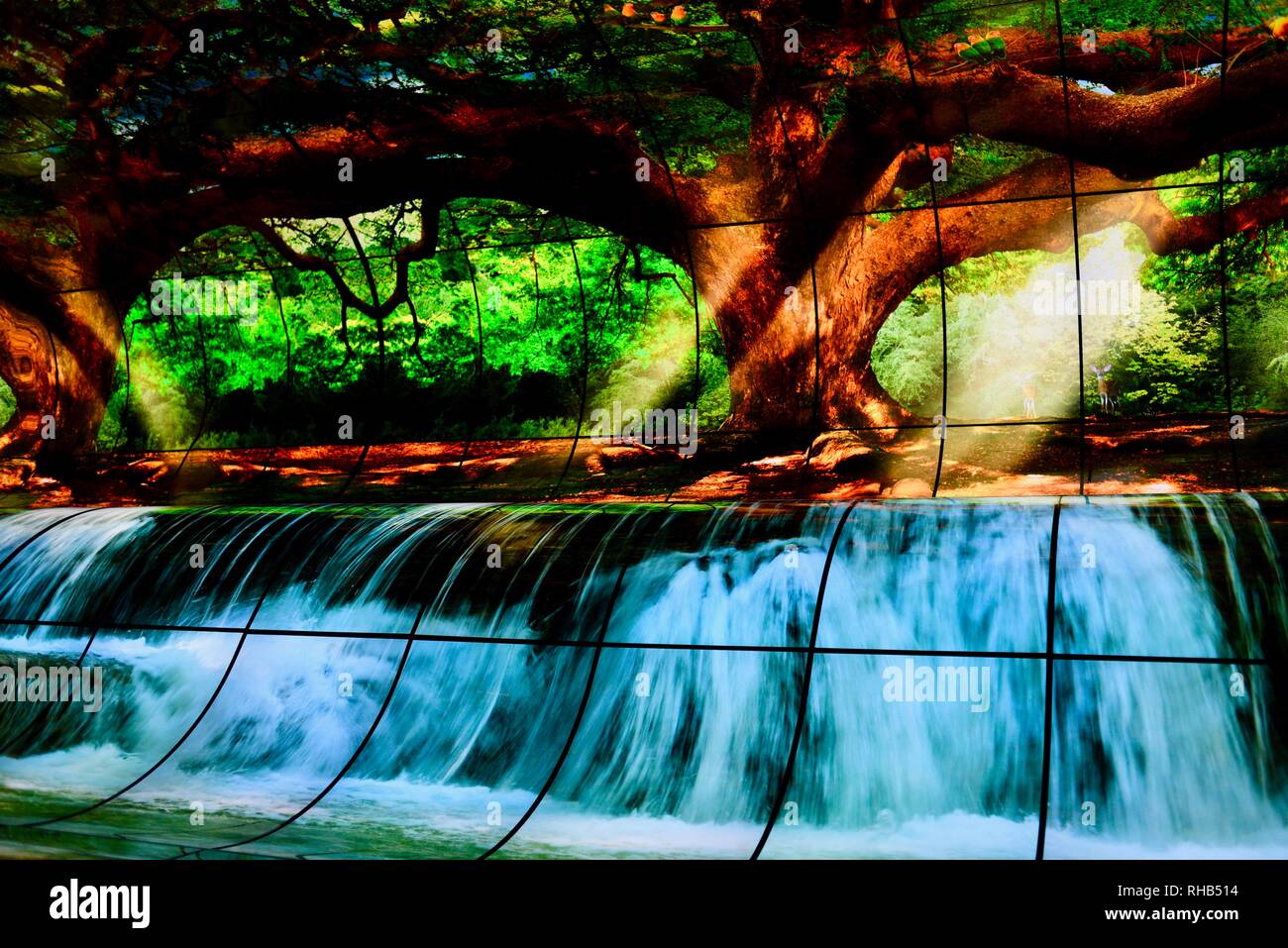 Wall and ceiling display, "massive curve of nature" 260 55inch