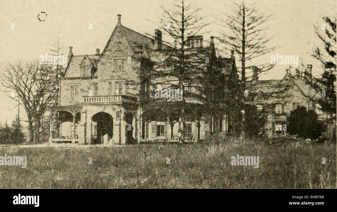 Clason point hires stock photography and images Alamy