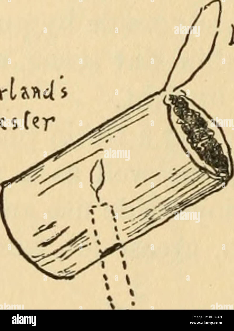 The Book Of Woodcraft And Indian Lore Outdoor Life Indians Of