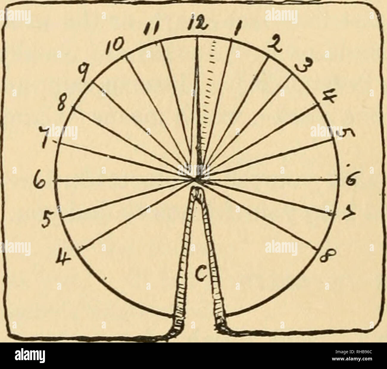 The Book Of Woodcraft And Indian Lore Outdoor Life Indians Of North America Social Life And Customs Fungi Trees United States 2l6 The Book Of Woodcraft A Home Made Compass