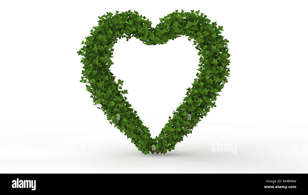 3d rendering of a green plant isolated on a white background Stock ...