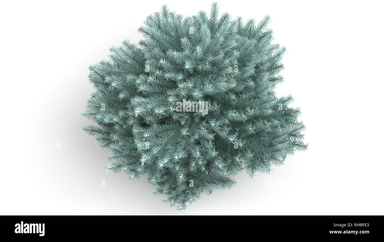 3d rendering of a green plant isolated on a white background Stock ...