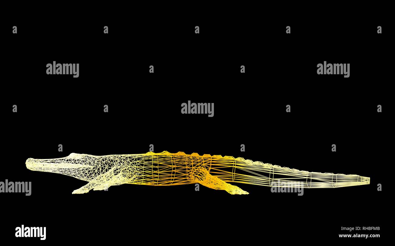3d rendering of an animal wireframe isolated on a black background ...