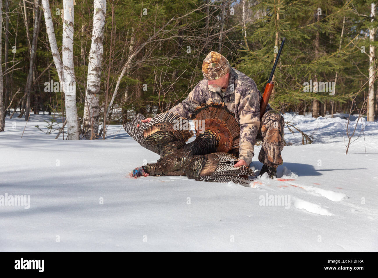Hunter posing with his spring turkey in northern Wisconsin Stock Photo
