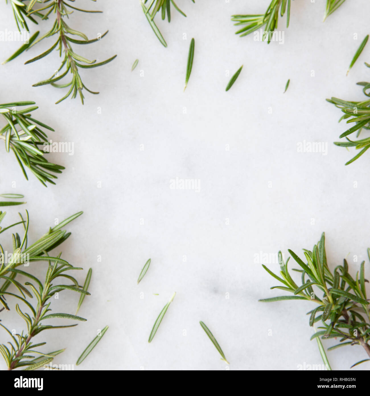 Rosemary sprigs on marble surface with copy space Stock Photo