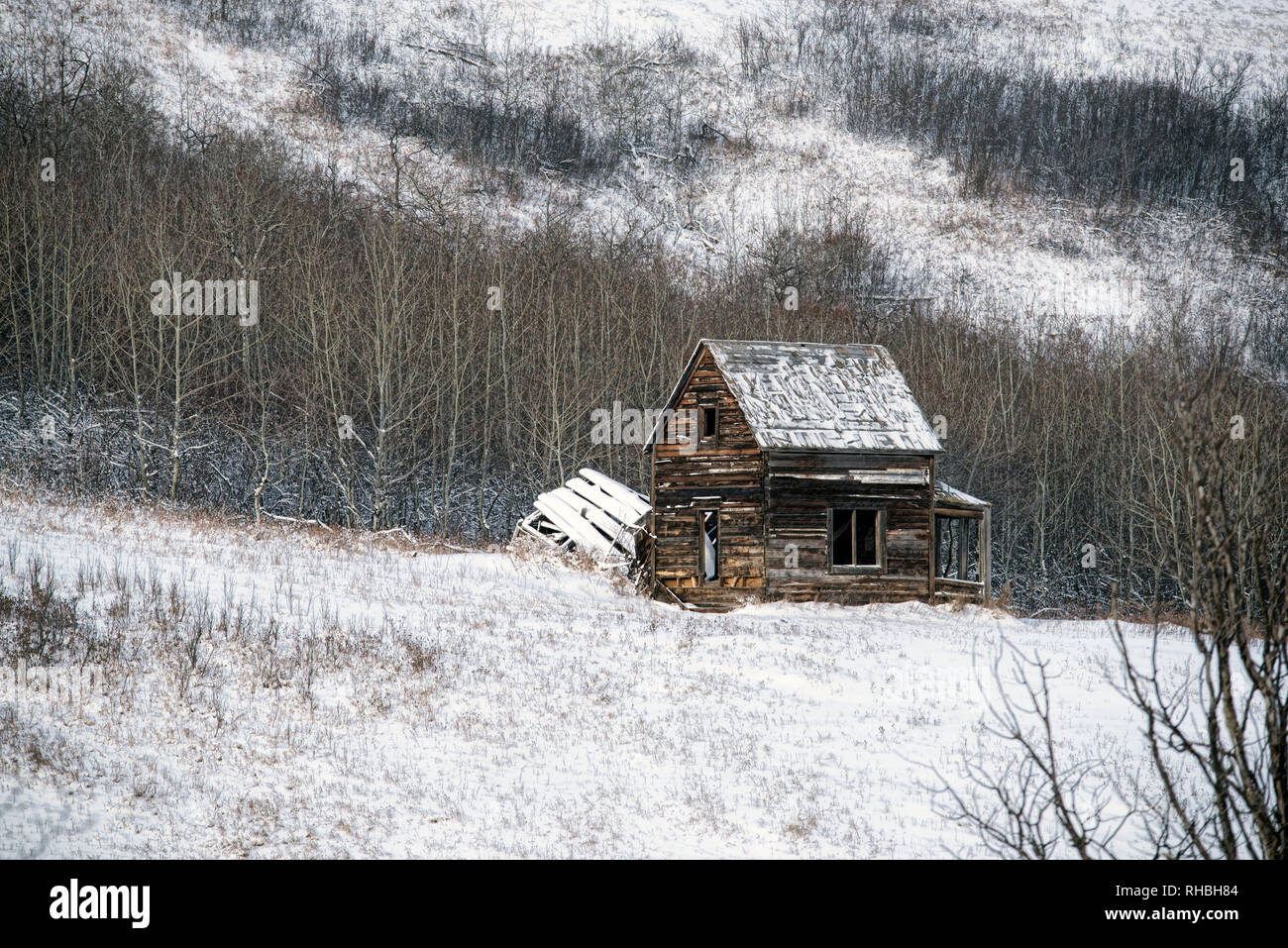 An old abandoned homestead/farmhouse in winter. Stock Photo