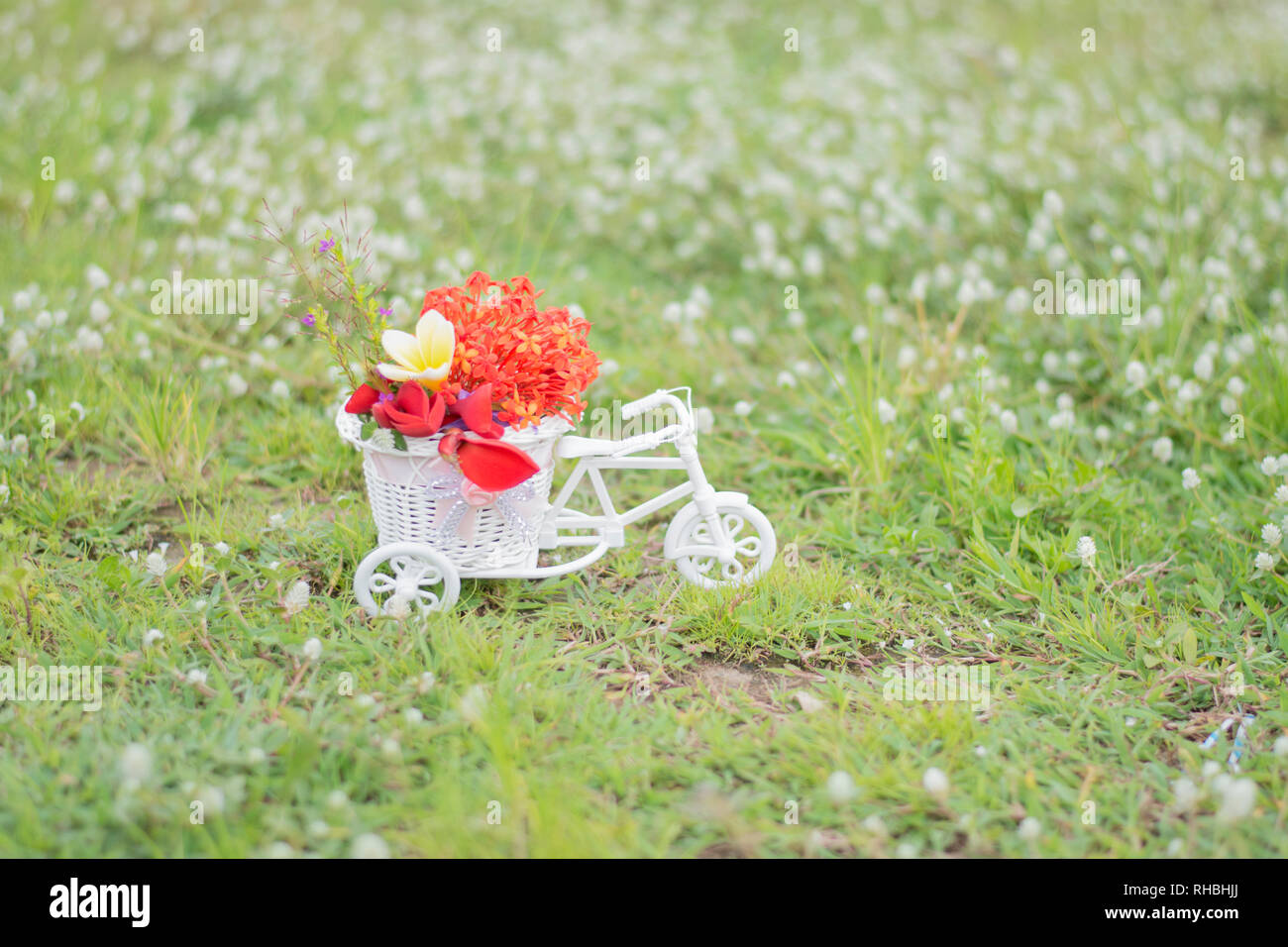 Flower delivery bike Stock Photo Alamy