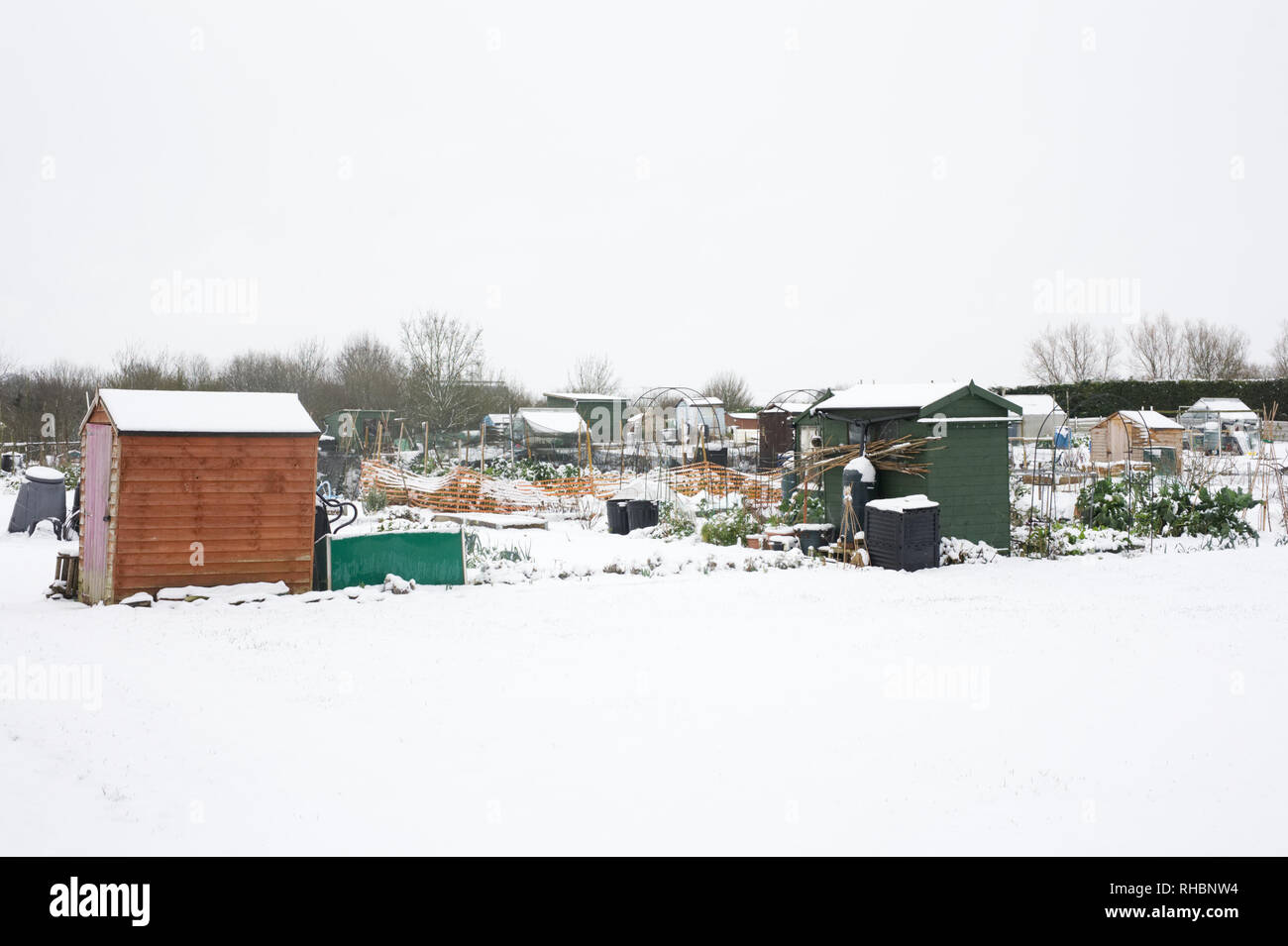 Allotment plots in the Winter snow. Stock Photo