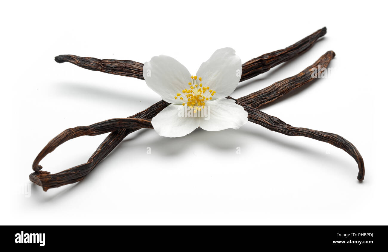 Vanilla bean with jasmine flowers, isolated on white background Stock