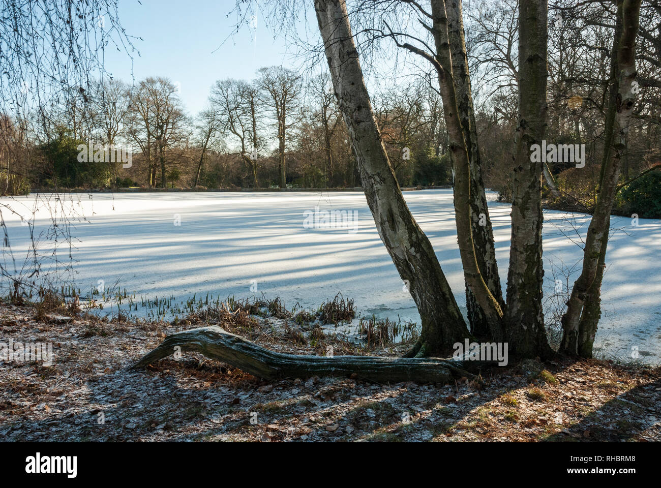 Winter sunshine casting shadows across the ice and snow covered lake at Kenwood, Hampstead, London. Stock Photo
