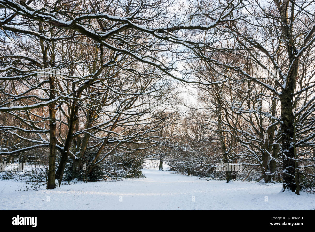 Hampstead heath in snow hires stock photography and images Alamy