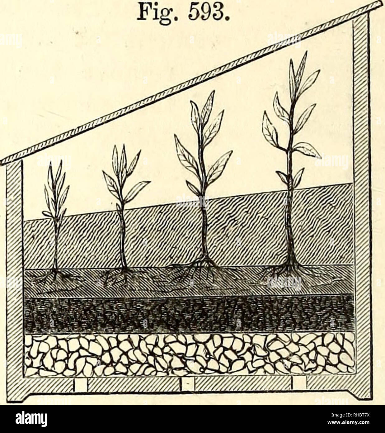 The Book Of The Garden Gardening They Are Much Used In Denmark By Those Who Have No Regular Greenhouse Pit Or Frame And Are Both Ornamental And Useful And Seem To