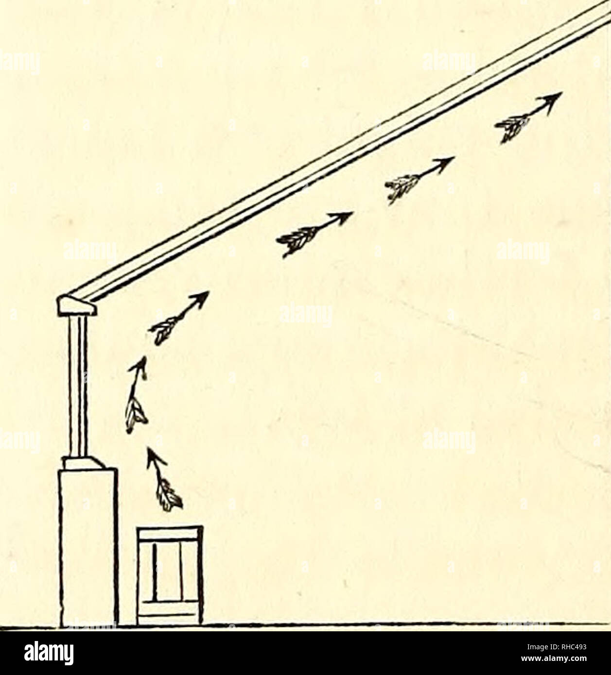 The book of the garden. Gardening. It is always dangerous to build flues on  wood, although we have seen examples of this. Flues and hot-water pipes  should if possible be carried