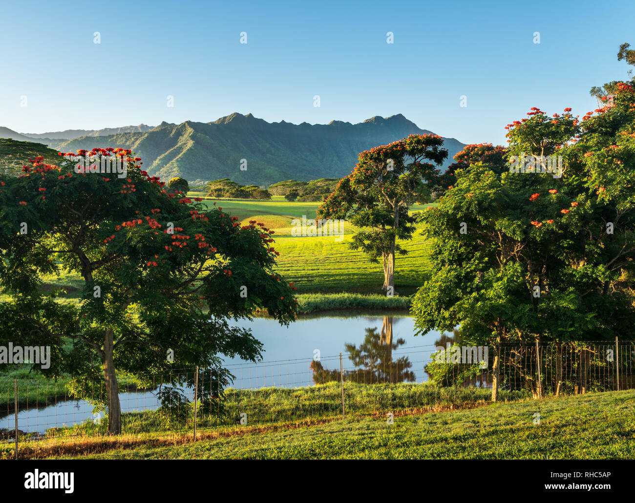 Kahili ranch hi-res stock photography and images - Alamy