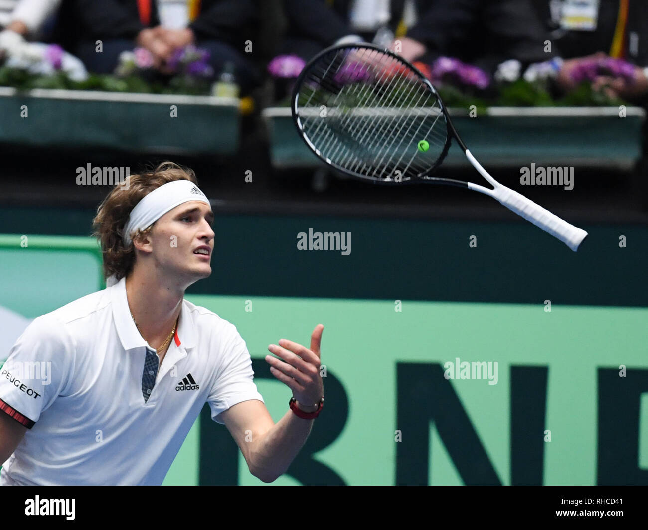Frankfurt, Germany. Main: Tennis: Davis Cup, qualification round Germany -  Hungary in the Fraport Arena. Germany's Alexander Zverev catches the bat  again in the singles against Hungary's Borsos. Credit: dpa picture  alliance/Alamy