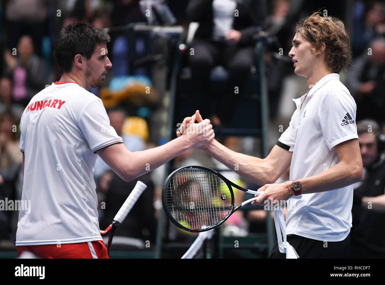 Frankfurt, Germany. Main: Tennis: Davis Cup, qualification round Germany -  Hungary in the Fraport Arena. Germany's Alexander Zverev (r) and Hungary's  Gabor Borsos shake hands after the match. Credit: dpa picture alliance/Alamy
