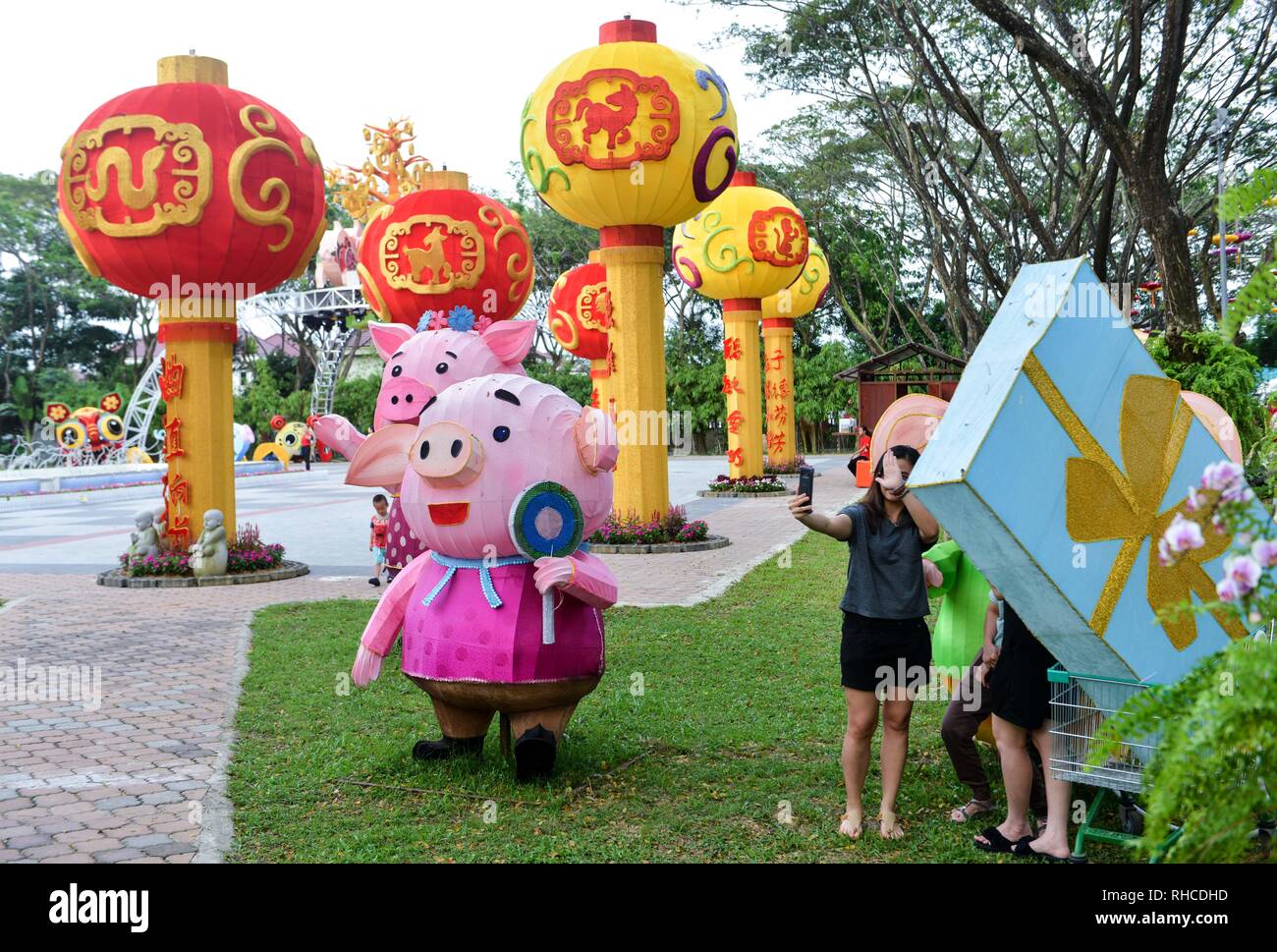Banting Selangor Malaysia 2nd Feb 2019 A Women Take A Photograph Near The Pig Shaped Lanterns At Temple The Chinese Lunar New Year On February 5 Will Welcome The Year Of The Pig