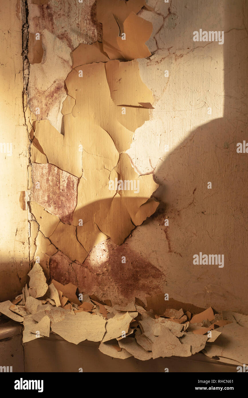 Lead poisoning hires stock photography and images Alamy