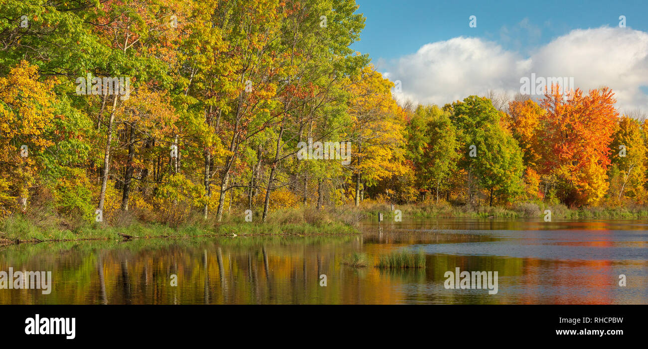 Autumn colors on a wilderness lake in northern Wisconsin. Stock Photo