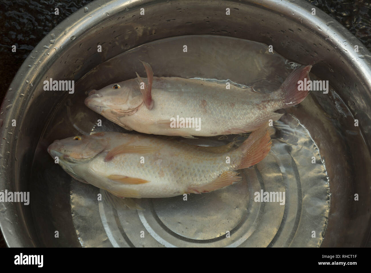 Prepare pot hires stock photography and images Alamy