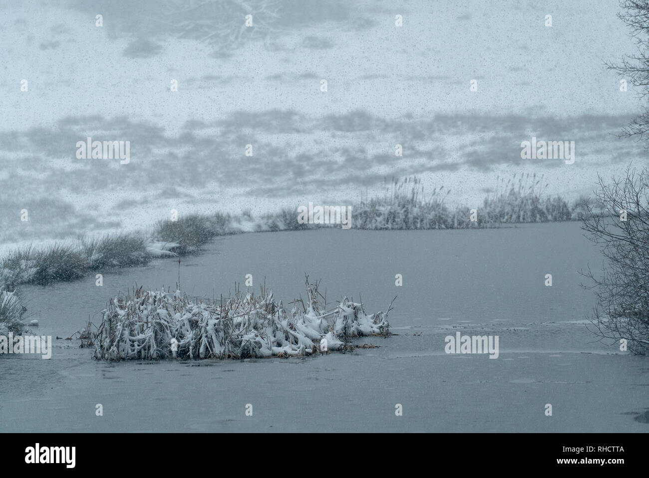 Blizzard Conditions With a Thick Blanket of snow covering Stourhead
