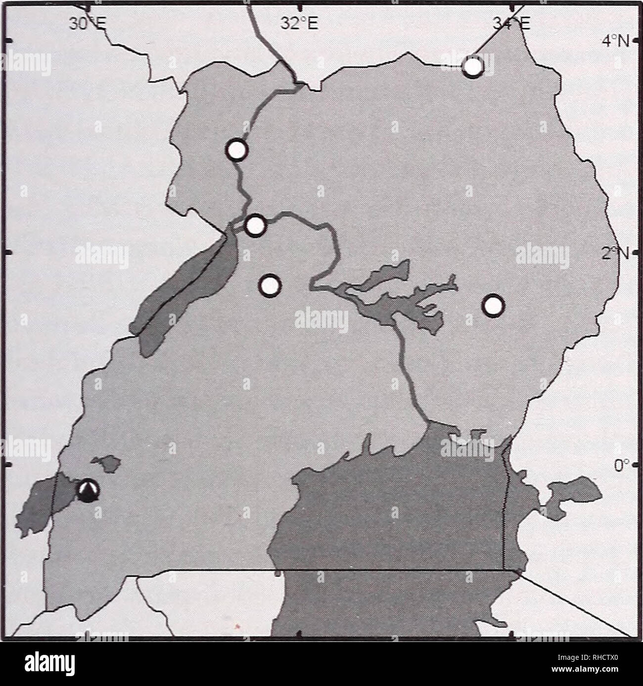 . Bonner zoologische Monographien. Zoology. THORN &amp; KERBIS PETERHANS, SMALL MAMMALS OF UGANDA. FIG. 68. Distribution of select Crocidura (Soricidae): Crocidura nanilla (A), Crocidura parvipes (O). Shaded areas indicate lakes. l°irN 35°15'E) (not very close to Kisumu, as often quoted, see Hollister 1918, p. 20). Crocidura hirta Watson 1951, Uganda J. 15, p. 95; Bere 1962 &quot;Wild Mammals of Uganda&quot;, p. 10 (Not as Peters 1852). Crocidura katharina Kingdon 1974, &quot;East African Mammals&quot; (not as in Kershaw 1922). Crocidura cyanea lutrella, C. c. nisa, C c. parvipes, Bal- sac &am Stock Photo