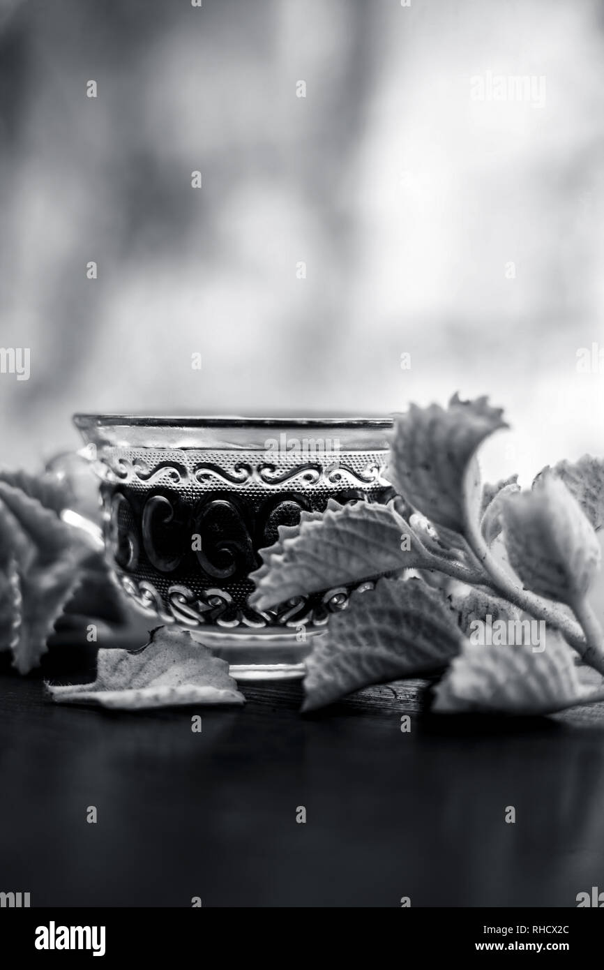 Ajwain leaf hires stock photography and images Alamy