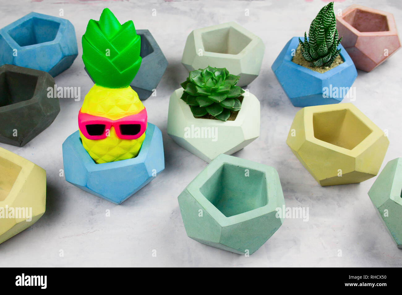 succulents potted in concrete pots and funny pineapple in glasses Stock