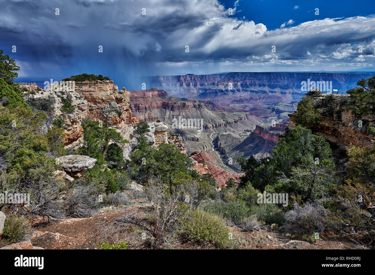 Grand Canyon, Walhalla Overlook, North Rim, Arizona, USA, North America Stock Photo
