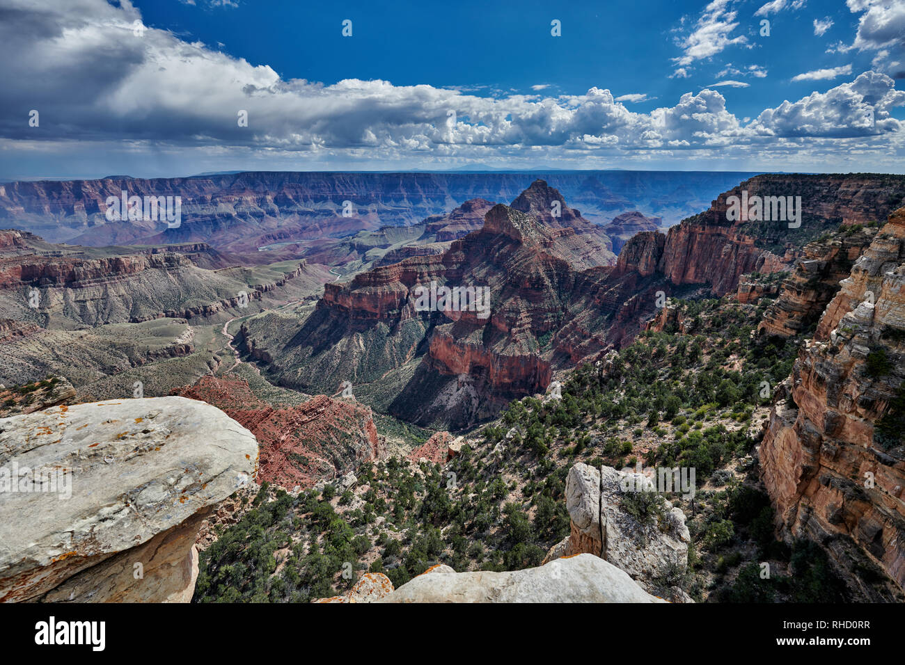 Grand Canyon, Walhalla Overlook, North Rim, Arizona, USA, North America Stock Photo