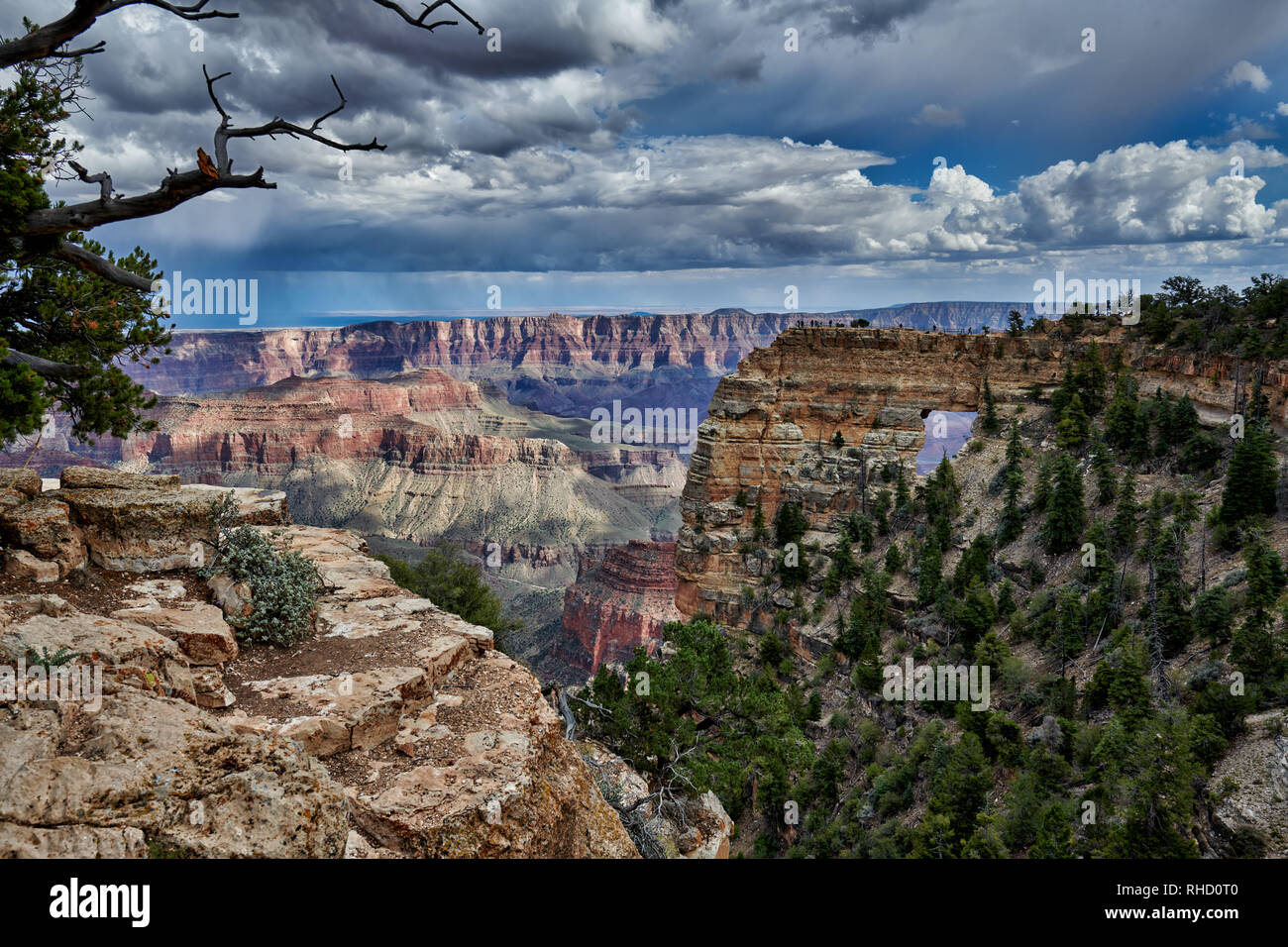 Grand Canyon, Angels Window, Cape Royal view point, North Rim, Arizona ...