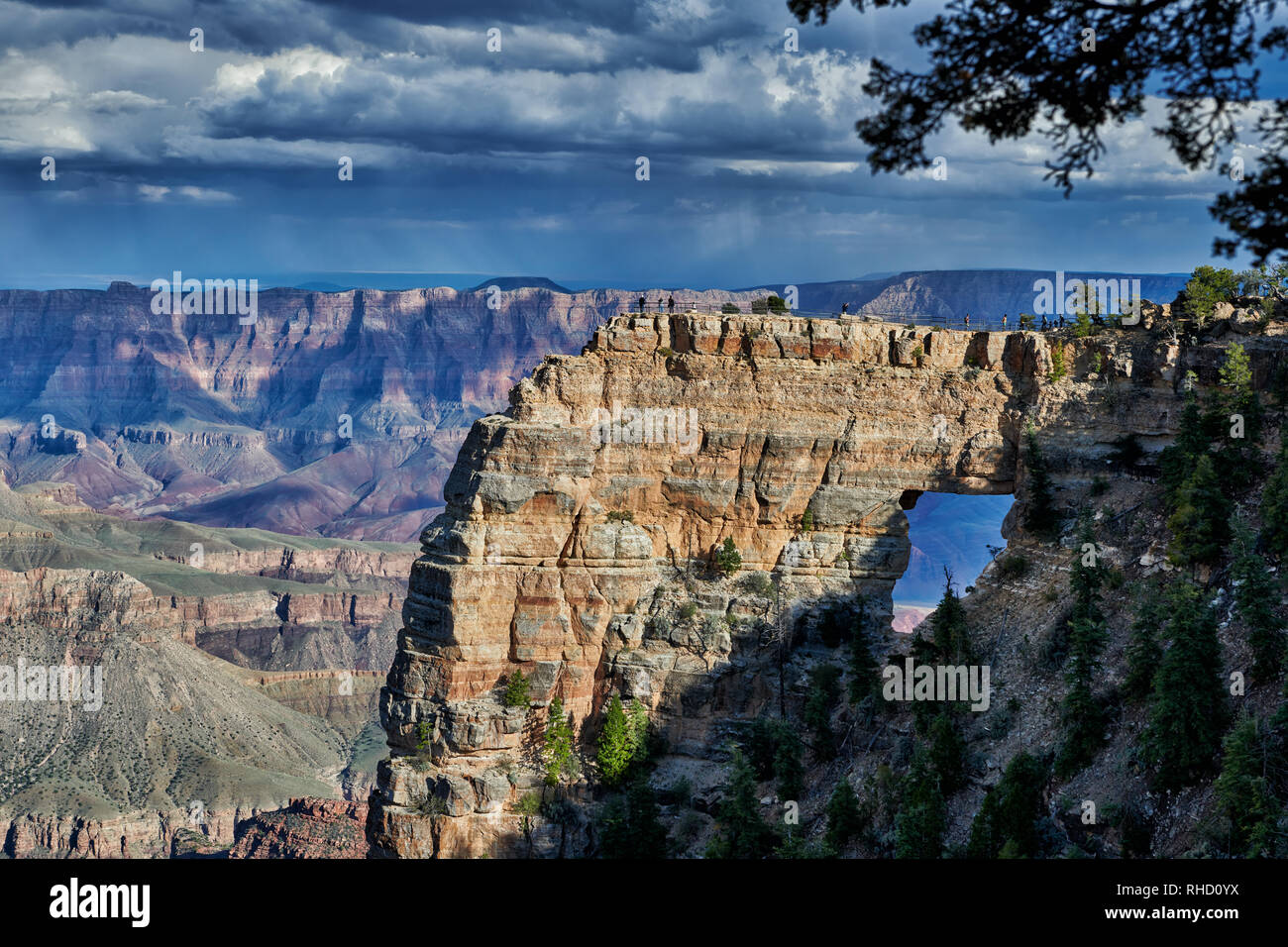 Grand Canyon, Angels Window, Cape Royal view point, North Rim, Arizona, USA, North America Stock Photo