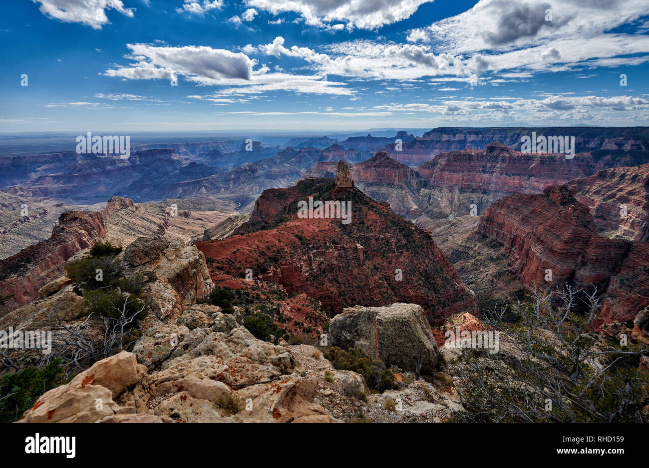 Grand Canyon, Point Imperial view point, North Rim, Arizona, USA, North America Stock Photo